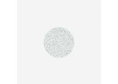 Materiale_abrasivo_bianco_ per_disco_PODODISC_ S_80_grit_Immagine#2